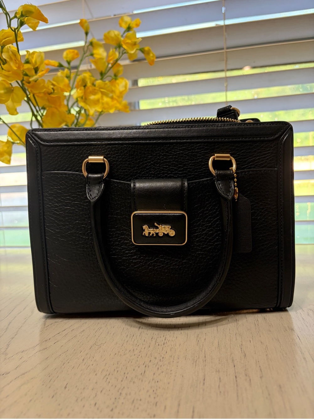Coach Grace Carryall